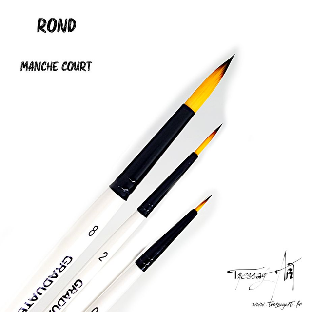 DALER ROWNEY - PINCEAU COURT UNITE - ROND - CA087