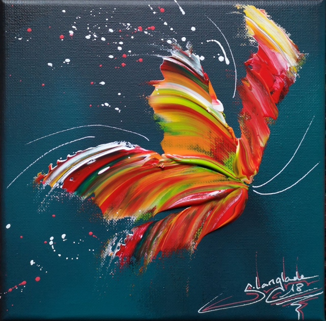 Papillon péi (mini delight 12)