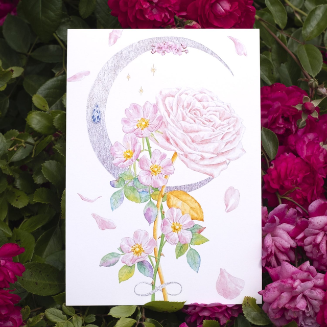 Rose Rose Pastel A5