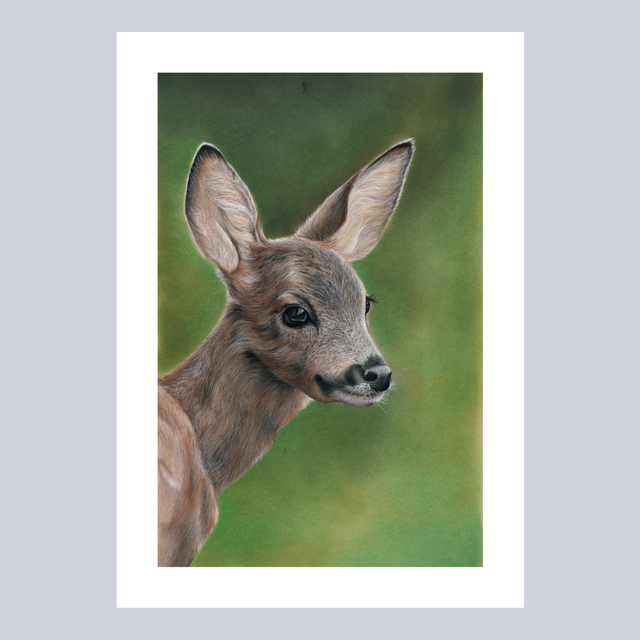 Reproductions - Chevrette N°1