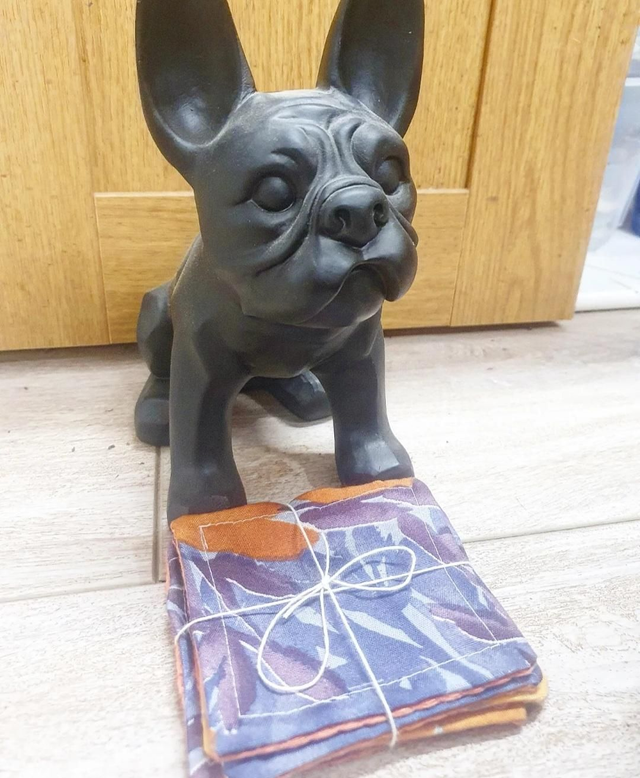 Lot de 5 Lingettes Lavables 