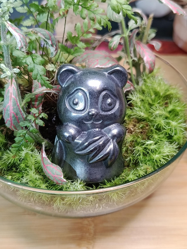 Panda en Shungite