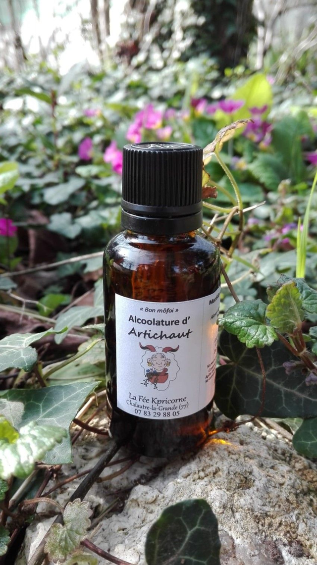 MACERAT ALCOOLIQUE d&#039;Artichaut [BIEN-ETRE Digestion] 30ml