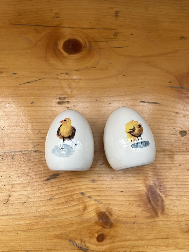 Salz und Pfefferstreuer Hühner