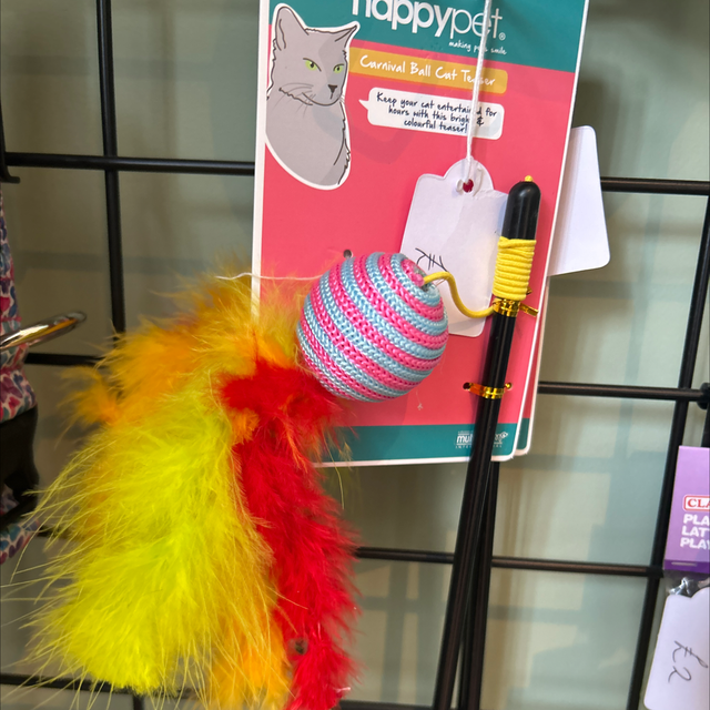 Carnival cat ball teaser 