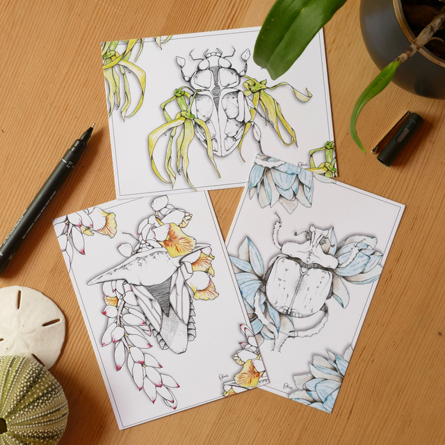 Bundle CARTE POSTALE – Atoumo