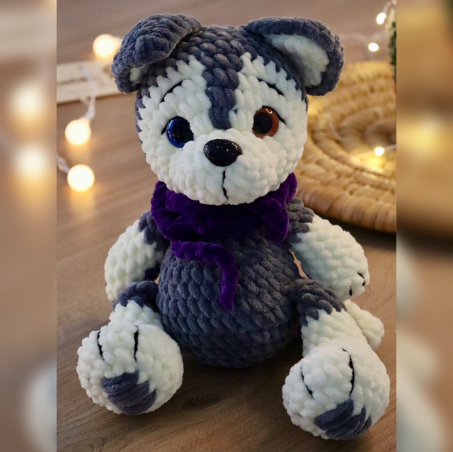 Husky de Sibérie 