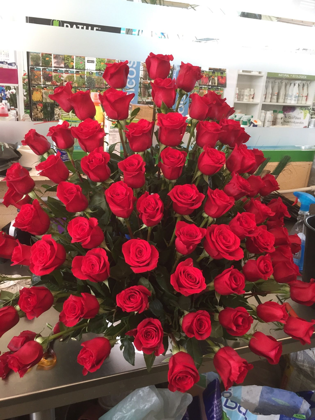 CENTRO REGALO ENCARADO SOLO ROSAS ROJAS