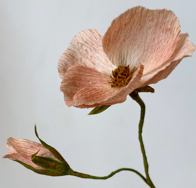 Eglantine "Eléor" avec son vase artisanal offert