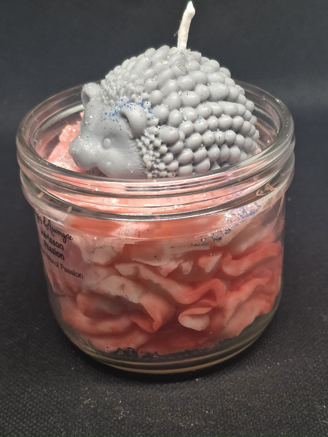 Hérisson passion parfum monoï passion  