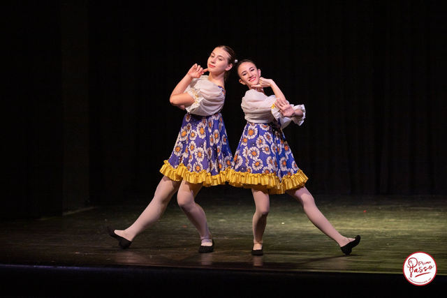 Danza Classica +Carattere 15+