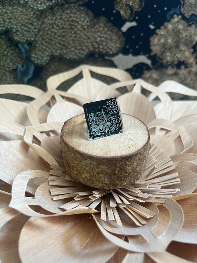 Nature squelette fleur d'hortensia