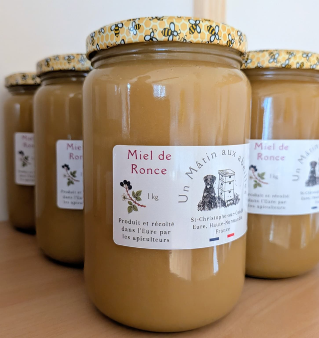 Miel de Ronce - 250g / 500g / 1 kg