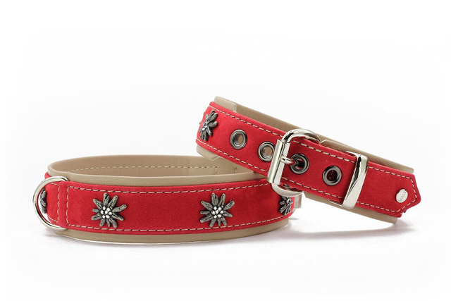 Edelweiß Halsband - Rot