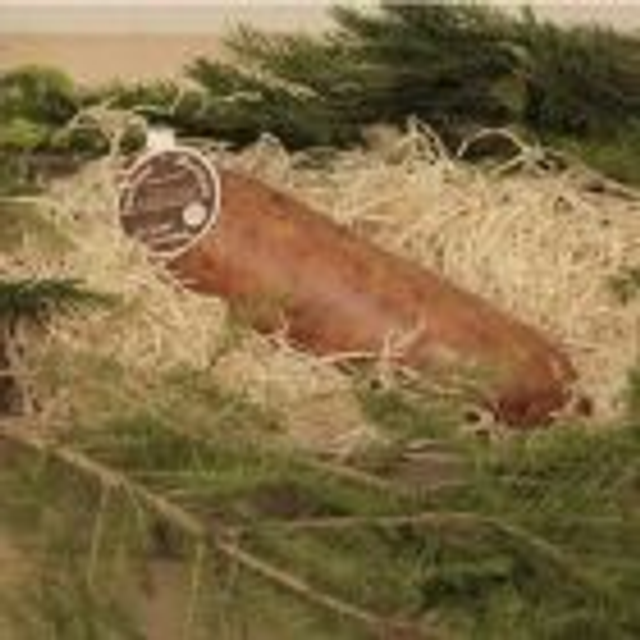 Saucisse de Morteau pièce de 450g