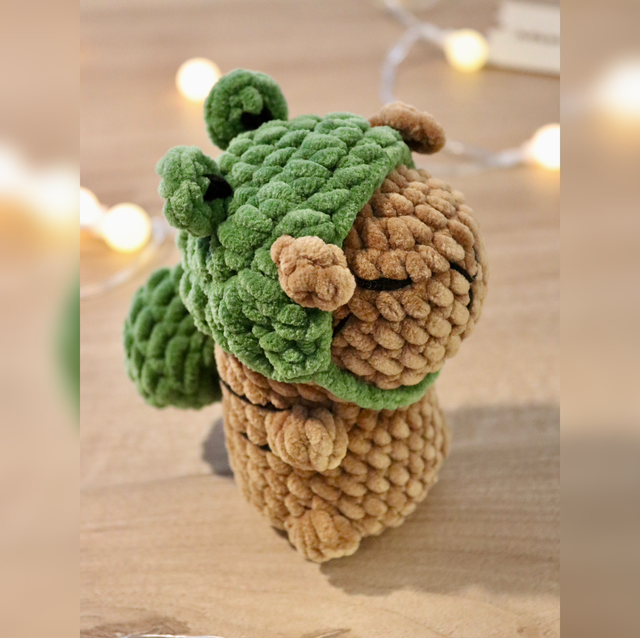 Capybara grenouille verte 