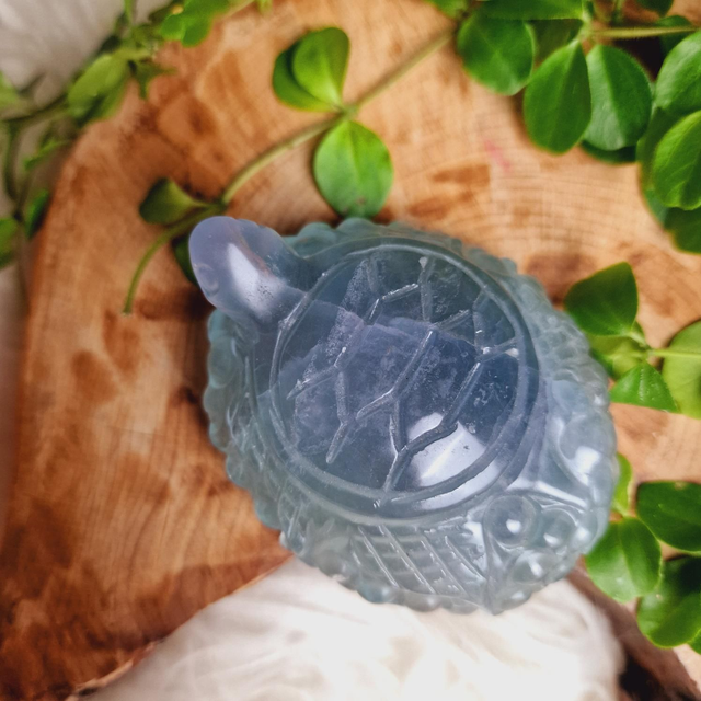Fluorite Pastel Toned Turtle Carving 