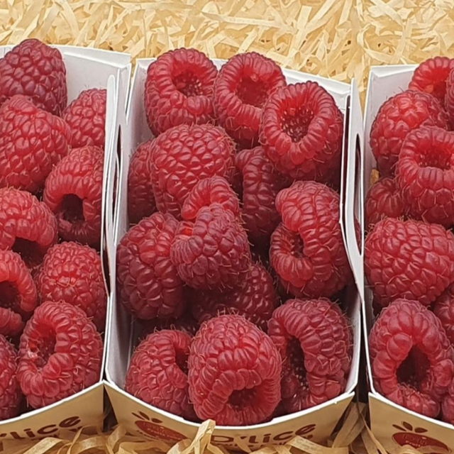 Framboise (BRQ 125g)