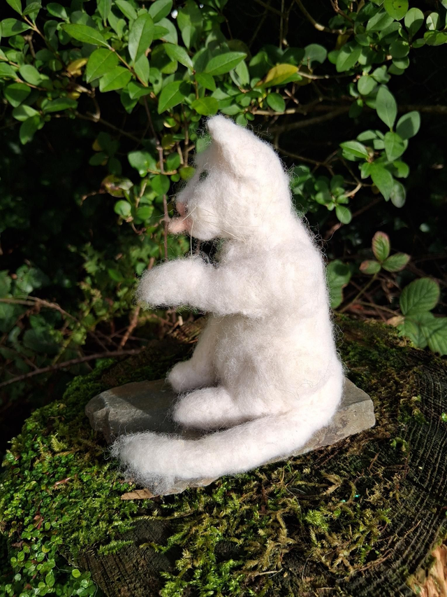 Needle Felt Cat in White: The Wash