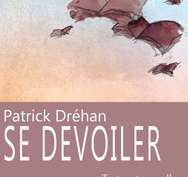 Se Dévoiler, de Patrick Dréhan