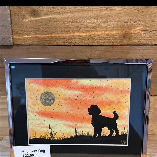 Moonlight Dog 