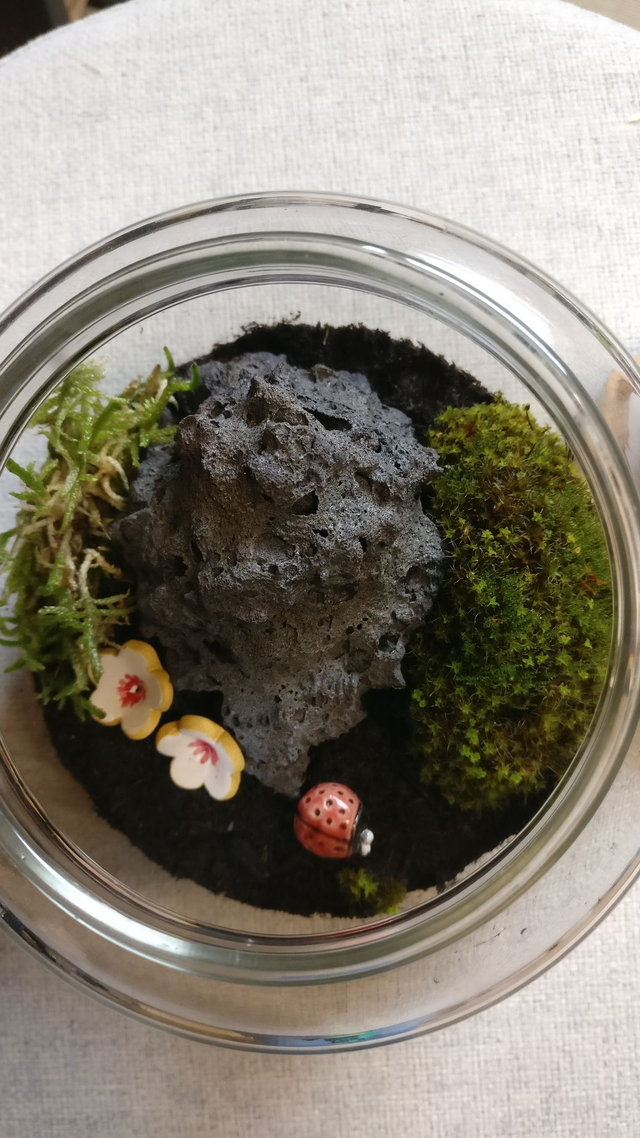 Bocal terrarium _ Coccinelle et lave céramique, mousse du jardin 2