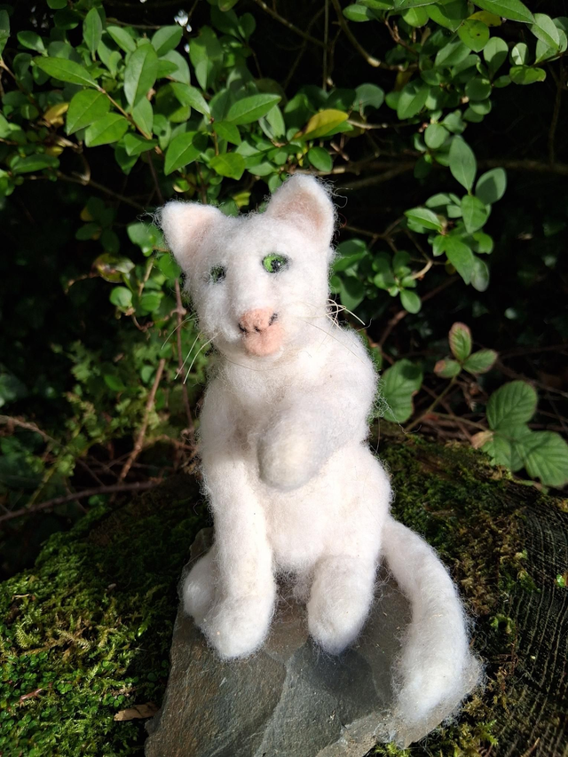 Needle Felt Cat in White: The Wash