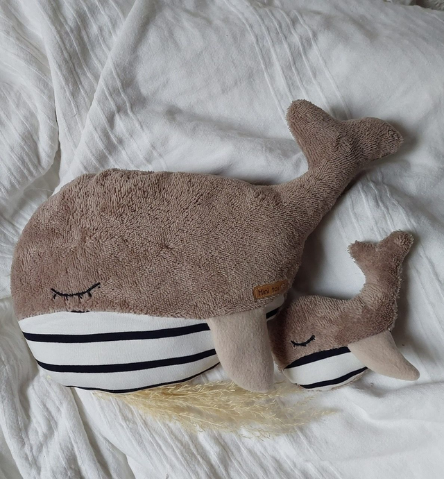 Baleineau et sa maman  