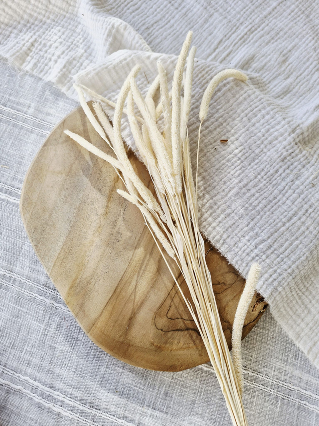 Vide atelier - Fléole des prés