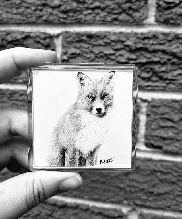 Fox Magnet