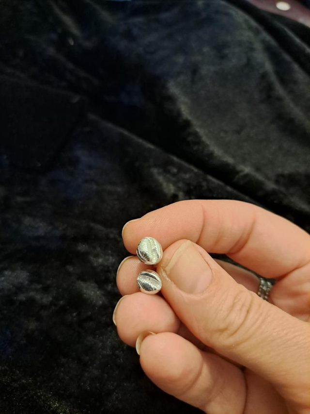 Silver cowrie shell studs