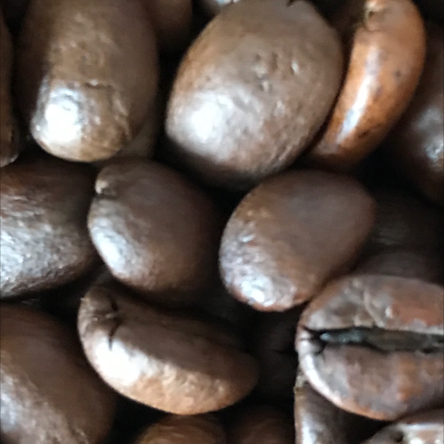 Daily Grind’s Espresso Blend