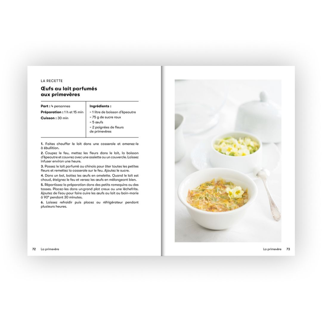 15 plantes sauvages comestibles