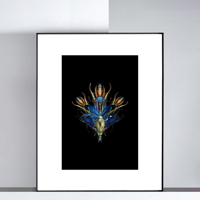 Imago Opale | Tirage 2/8