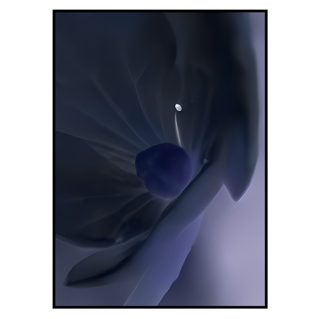 NV 026
