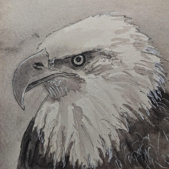 'Eagle' Original Ink Artwork Mounted 