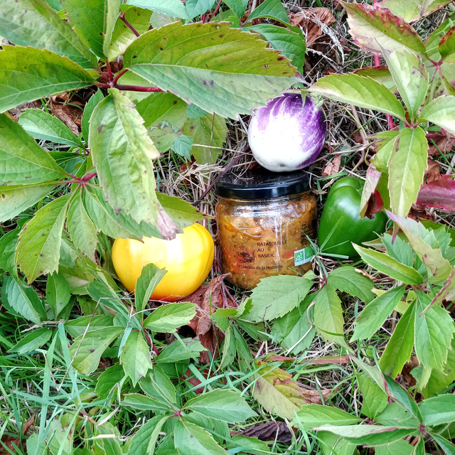 Ratatouille au basilic