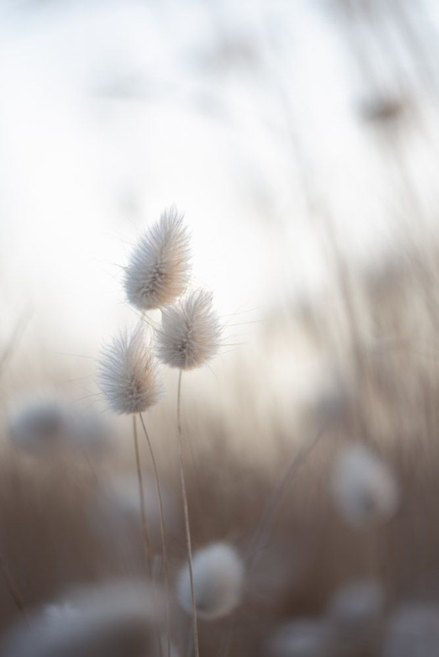 Vue sur l’océan 9
