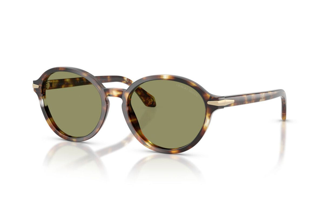 Eyewear Woman Giorgio Armani  AR 8237 623214