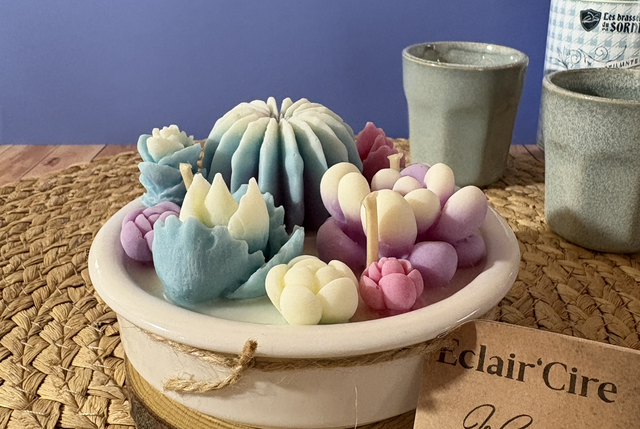 Cactus - cèdre du Liban 232gr