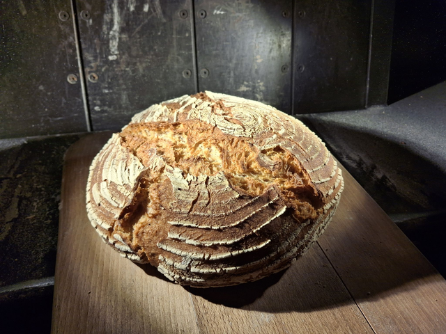 KHORAZAN BLÉ ANCIEN 