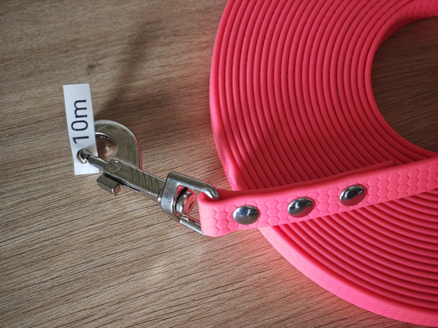 Longe de 10m & 16mm de largeur