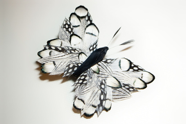 Broche papillon