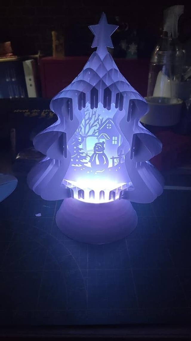 Boîtes à ombres sapin