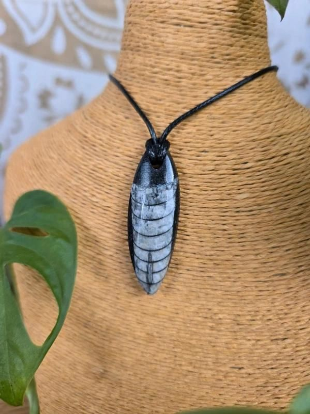 Orthocère fossile - Pendentif pierre percée