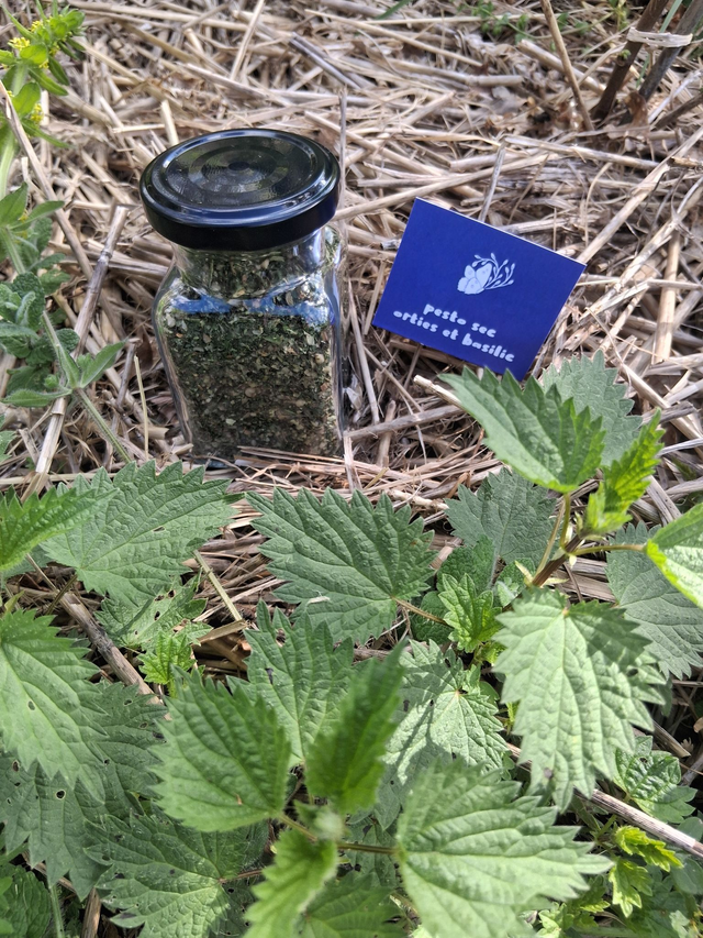 Pesto sec aux noix, orties et basilic (pot en verre 45g) 
