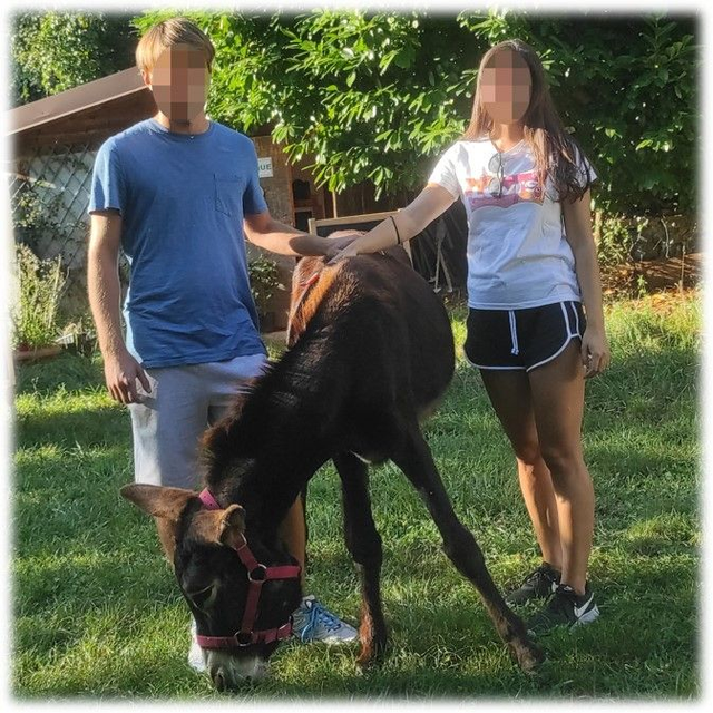 Adozione di coppia - Speciale San Valentino