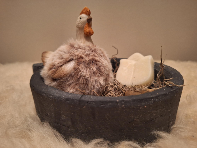 Kip in betonnen schaal