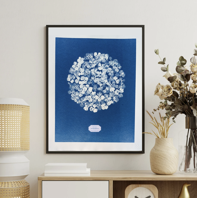 Cyanotype Hydrangea (40x50 cm) - n°307 - sans cadre