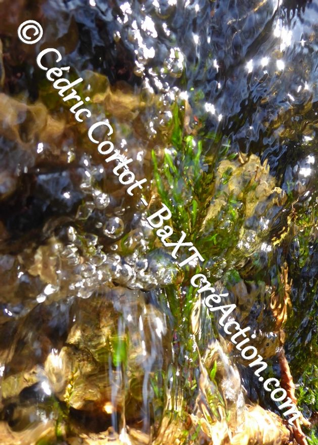 Carte postale - Reflets et cours d'Eau (Ref P1170656)